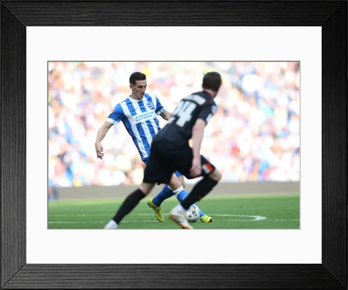 Framed Print : Brighton & Hove Albion vs. Blackpool: 2014-15 Season Home Game Framed Print : Brighton & Hove Albion vs. Blackpool: 2014-15 Season Home Game