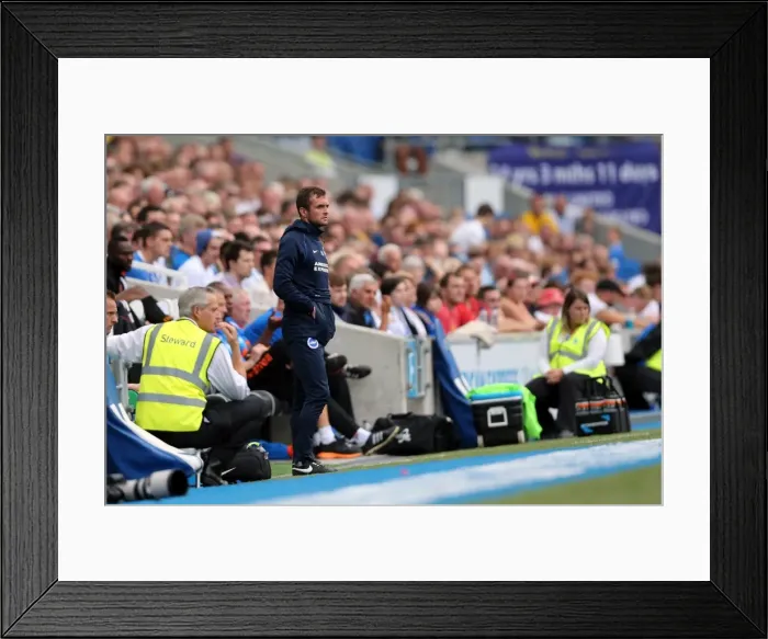 Framed Print : Brighton & Hove Albion vs. Blackpool: 2014-15 Season Home Game
