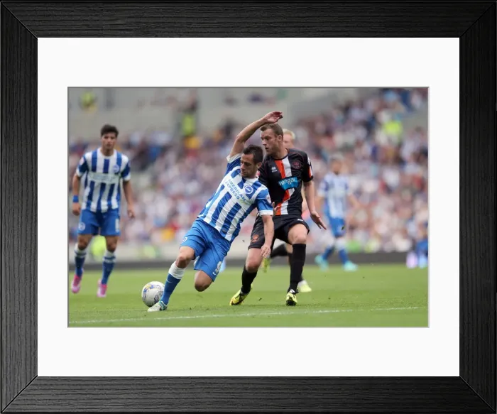 Framed Print : Brighton & Hove Albion vs. Blackpool: 2014-15 Season Home Game
