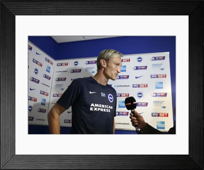 Framed Print : Brighton & Hove Albion vs. Blackpool: 2014-15 Season Home Game Framed Print : Brighton & Hove Albion vs. Blackpool: 2014-15 Season Home Game