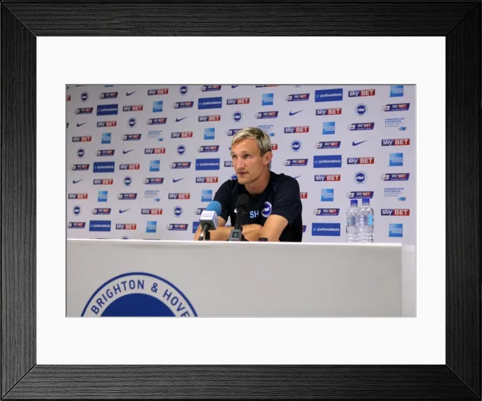 Framed Print : Brighton & Hove Albion vs. Blackpool: 2014-15 Season Home Game Framed Print : Brighton & Hove Albion vs. Blackpool: 2014-15 Season Home Game