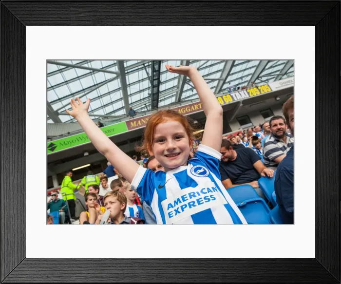 Framed Print : Brighton & Hove Albion vs. Blackpool: 2014-15 Season Home Game Framed Print : Brighton & Hove Albion vs. Blackpool: 2014-15 Season Home Game
