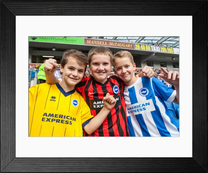 Framed Print : Brighton & Hove Albion vs. Blackpool: 2014-15 Season Home Game