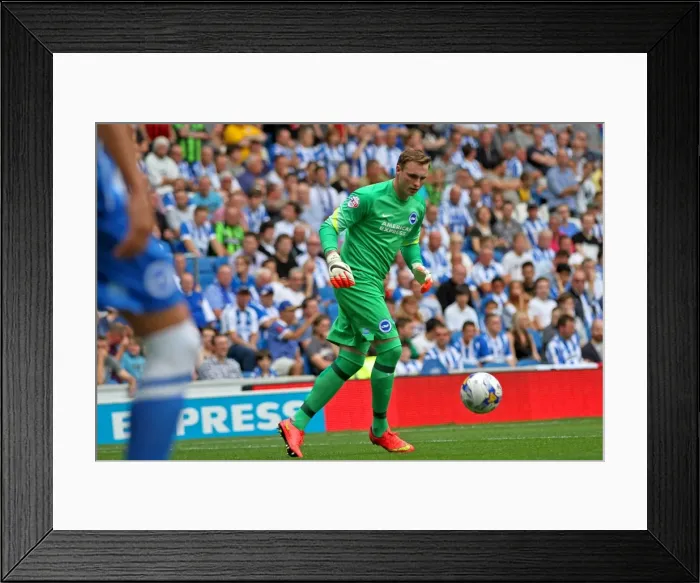 Framed Print : Brighton & Hove Albion vs. Blackpool: 2014-15 Season Home Game Framed Print : Brighton & Hove Albion vs. Blackpool: 2014-15 Season Home Game