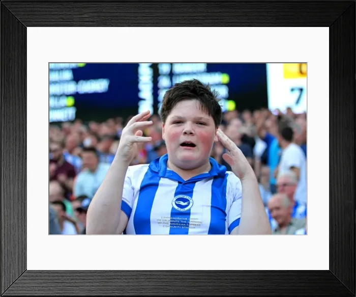 Framed Print : Brighton & Hove Albion vs. Blackpool: 2014-15 Season Home Game Framed Print : Brighton & Hove Albion vs. Blackpool: 2014-15 Season Home Game