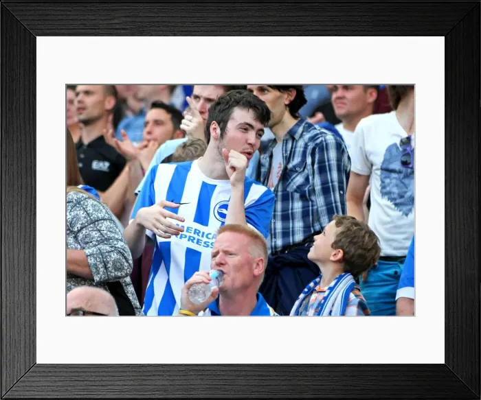 Framed Print : Brighton & Hove Albion vs. Blackpool: 2014-15 Season Home Game Framed Print : Brighton & Hove Albion vs. Blackpool: 2014-15 Season Home Game