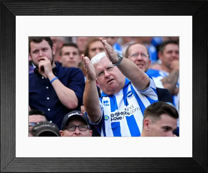 Framed Print : Brighton & Hove Albion vs. Blackpool: 2014-15 Season Home Game Framed Print : Brighton & Hove Albion vs. Blackpool: 2014-15 Season Home Game