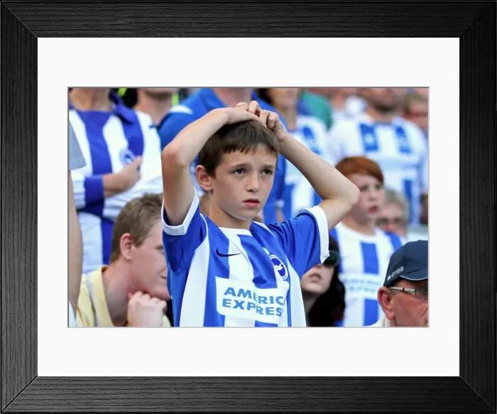 Framed Print : Brighton & Hove Albion vs. Blackpool: 2014-15 Season Home Game Framed Print : Brighton & Hove Albion vs. Blackpool: 2014-15 Season Home Game