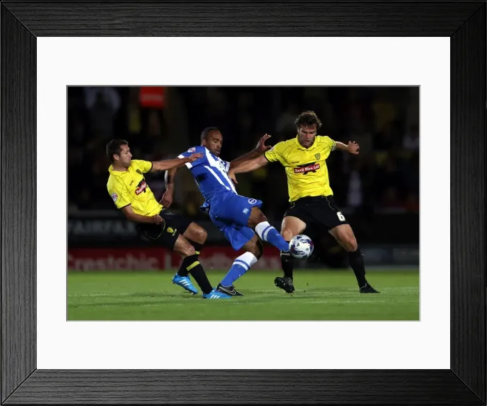 Framed Print : Brighton & Hove Albion Away at Burton Albion (24SEP14) Framed Print : Brighton & Hove Albion Away at Burton Albion (24SEP14)
