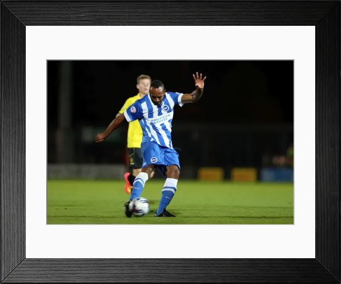 Framed Print : Brighton & Hove Albion at Burton Albion: 24 September 2014 (Away Game, Season 2014-15) Framed Print : Brighton & Hove Albion at Burton Albion: 24 September 2014 (Away Game, Season 2014-15)