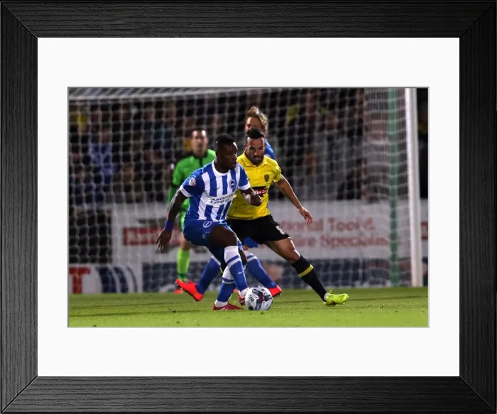 Framed Print : Brighton & Hove Albion Away at Burton Albion (24SEP14) Framed Print : Brighton & Hove Albion Away at Burton Albion (24SEP14)