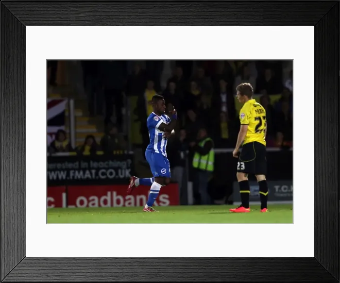 Framed Print : Brighton & Hove Albion at Burton Albion: Away Game, September 24, 2014 Framed Print : Brighton & Hove Albion at Burton Albion: Away Game, September 24, 2014