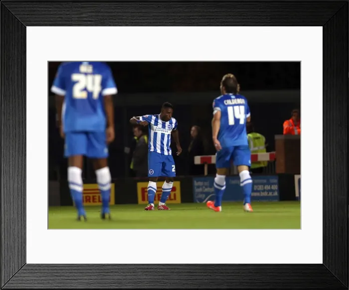 Framed Print : Brighton & Hove Albion Away at Burton Albion (24SEP14) Framed Print : Brighton & Hove Albion Away at Burton Albion (24SEP14)