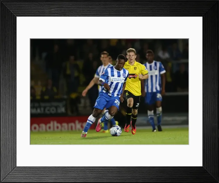Framed Print : Brighton & Hove Albion Away at Burton Albion (24SEP14)