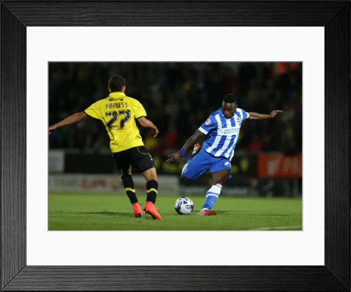 Framed Print : Brighton & Hove Albion Away at Burton Albion (24SEP14) Framed Print : Brighton & Hove Albion Away at Burton Albion (24SEP14)