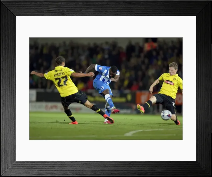Framed Print : Brighton & Hove Albion at Burton Albion: 24 September 2014 (Away Game, Season 2014-15)