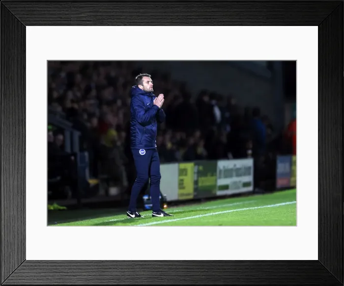 Framed Print : Brighton & Hove Albion at Burton Albion (2014-15 Away Game) Framed Print : Brighton & Hove Albion at Burton Albion (2014-15 Away Game)