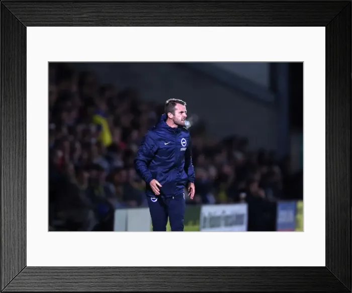 Framed Print : Brighton & Hove Albion at Burton Albion (2014-15 Season): Away Game Framed Print : Brighton & Hove Albion at Burton Albion (2014-15 Season): Away Game