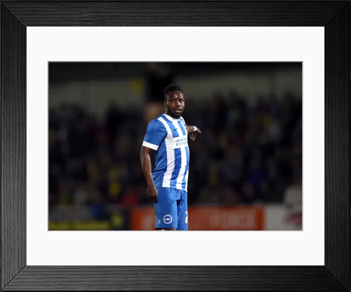Framed Print : Brighton & Hove Albion at Burton Albion: 24 September 2014 (Away Game, Season 2014-15)