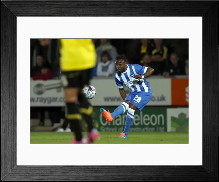 Framed Print : Brighton & Hove Albion at Burton Albion (2014-15 Season): Away Game