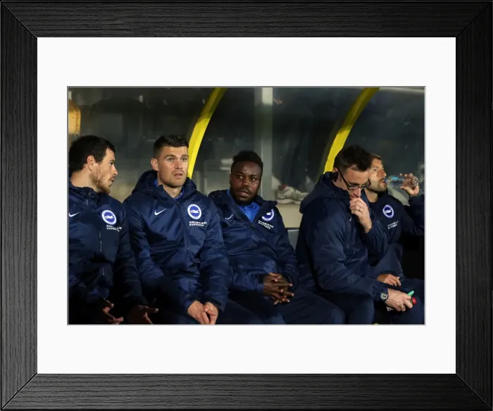 Framed Print : Brighton & Hove Albion Away at Burton Albion (24SEP14) Framed Print : Brighton & Hove Albion Away at Burton Albion (24SEP14)