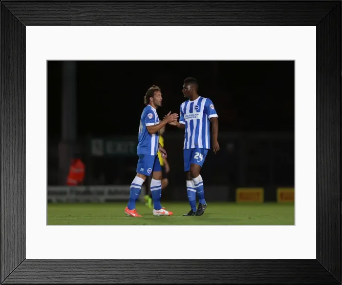 Framed Print : Brighton & Hove Albion at Burton Albion: Away Game, September 24, 2014 Framed Print : Brighton & Hove Albion at Burton Albion: Away Game, September 24, 2014