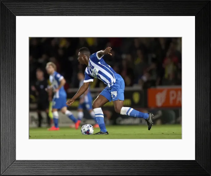Framed Print : Brighton & Hove Albion at Burton Albion: Away Game, September 24, 2014 Framed Print : Brighton & Hove Albion at Burton Albion: Away Game, September 24, 2014