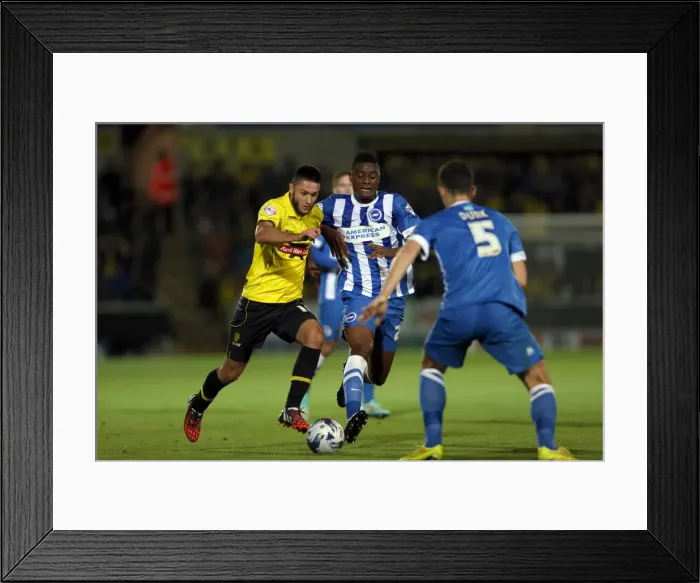 Framed Print : Brighton & Hove Albion Away at Burton Albion (24SEP14)
