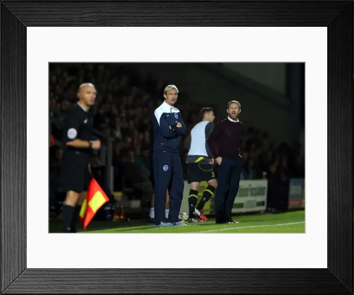 Framed Print : Brighton & Hove Albion at Burton Albion (2014-15 Season): Away Game