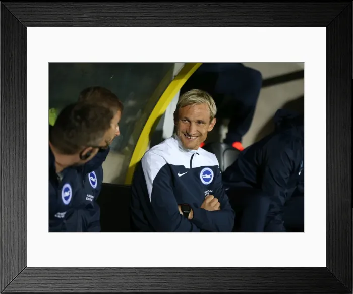 Framed Print : Brighton & Hove Albion Away at Burton Albion (24SEP14) Framed Print : Brighton & Hove Albion Away at Burton Albion (24SEP14)