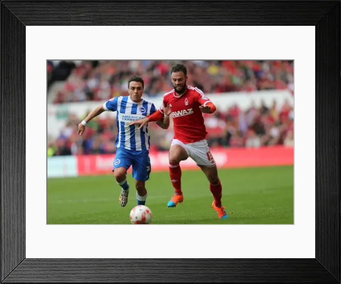 Framed Print : Brighton & Hove Albion vs. Nottingham Forest: 2014-15 Away Game Framed Print : Brighton & Hove Albion vs. Nottingham Forest: 2014-15 Away Game