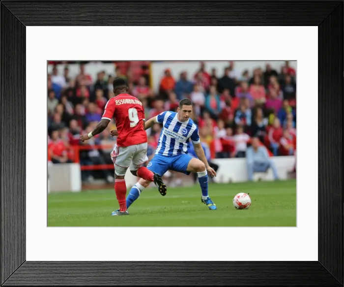Framed Print : Brighton & Hove Albion vs. Nottingham Forest: 27 September 2014 (Away Game) Framed Print : Brighton & Hove Albion vs. Nottingham Forest: 27 September 2014 (Away Game)