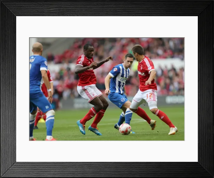 Framed Print : Brighton & Hove Albion vs. Nottingham Forest: 27 September 2014 (Away Game) Framed Print : Brighton & Hove Albion vs. Nottingham Forest: 27 September 2014 (Away Game)