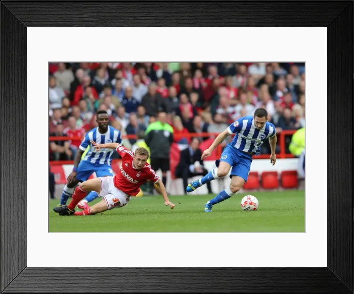 Framed Print : Brighton & Hove Albion vs. Nottingham Forest: 2014-15 Away Game Framed Print : Brighton & Hove Albion vs. Nottingham Forest: 2014-15 Away Game