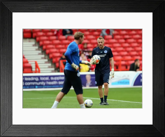 Framed Print : Brighton & Hove Albion vs. Nottingham Forest (Away), 27 September 2014 Framed Print : Brighton & Hove Albion vs. Nottingham Forest (Away), 27 September 2014