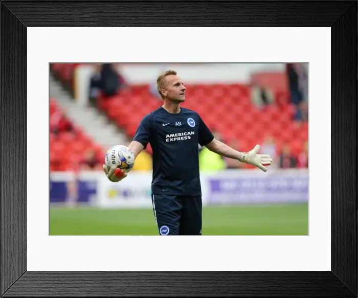 Framed Print : Brighton & Hove Albion vs. Nottingham Forest: 27 September 2014 (Away Game) Framed Print : Brighton & Hove Albion vs. Nottingham Forest: 27 September 2014 (Away Game)