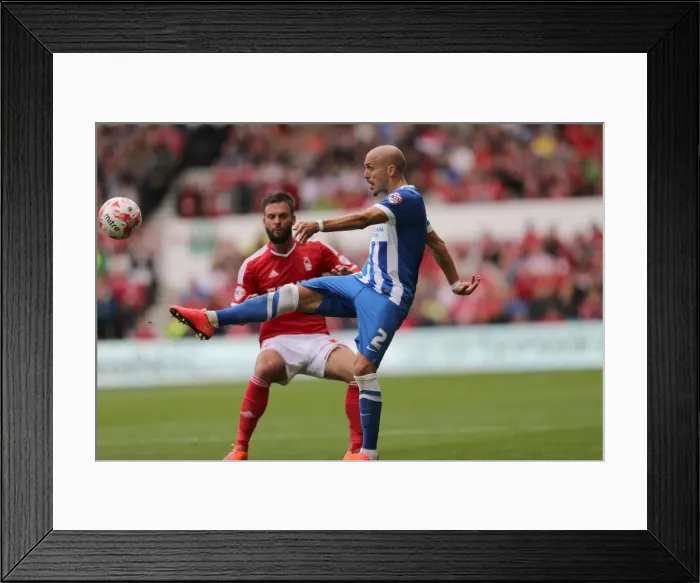 Framed Print : Brighton & Hove Albion vs. Nottingham Forest - 2014-15 Away Game Framed Print : Brighton & Hove Albion vs. Nottingham Forest - 2014-15 Away Game