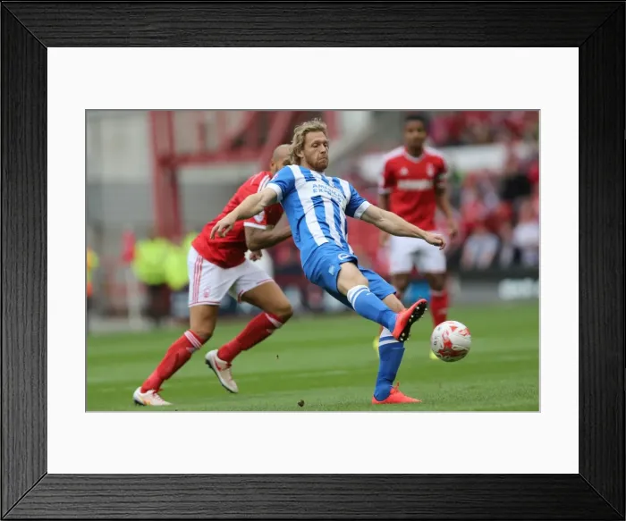 Framed Print : Brighton & Hove Albion vs. Nottingham Forest: 2014-15 Away Game Framed Print : Brighton & Hove Albion vs. Nottingham Forest: 2014-15 Away Game