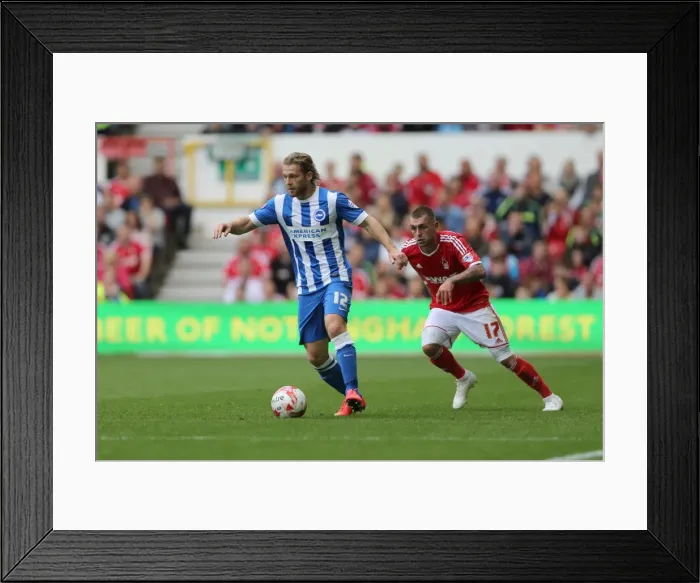 Framed Print : Brighton & Hove Albion vs. Nottingham Forest - September 27, 2014 (Away Game) Framed Print : Brighton & Hove Albion vs. Nottingham Forest - September 27, 2014 (Away Game)