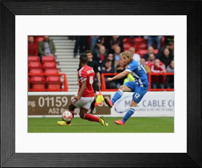 Framed Print : Brighton & Hove Albion vs. Nottingham Forest: 27 September 2014 (Away Game) Framed Print : Brighton & Hove Albion vs. Nottingham Forest: 27 September 2014 (Away Game)