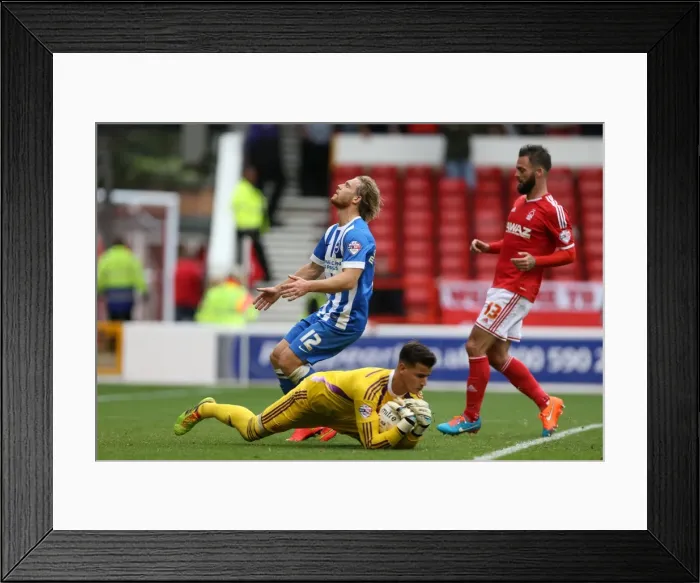 Framed Print : Brighton & Hove Albion vs. Nottingham Forest: 27 September 2014 (Away Game) Framed Print : Brighton & Hove Albion vs. Nottingham Forest: 27 September 2014 (Away Game)