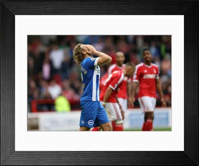 Framed Print : Brighton & Hove Albion vs. Nottingham Forest: 27 September 2014 (Away Game) Framed Print : Brighton & Hove Albion vs. Nottingham Forest: 27 September 2014 (Away Game)