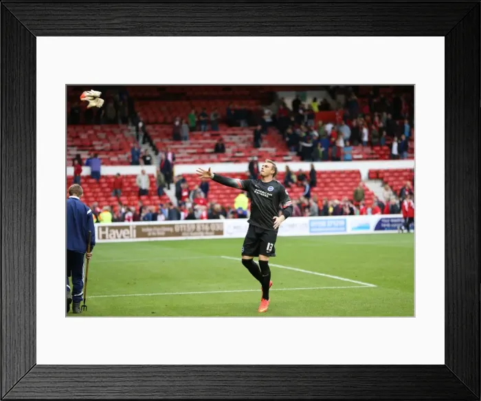 Framed Print : Brighton & Hove Albion vs. Nottingham Forest: 27 September 2014 (Away Game) Framed Print : Brighton & Hove Albion vs. Nottingham Forest: 27 September 2014 (Away Game)