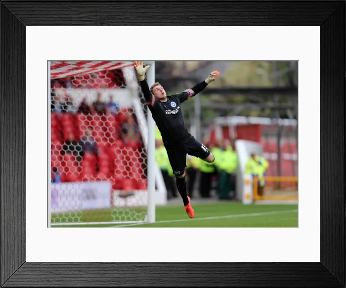Framed Print : Brighton & Hove Albion vs. Nottingham Forest (Away), 27 September 2014 Framed Print : Brighton & Hove Albion vs. Nottingham Forest (Away), 27 September 2014
