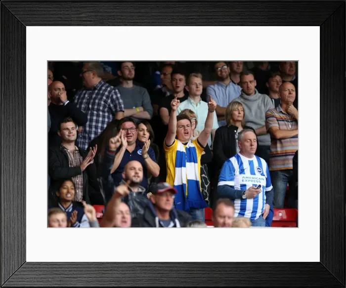 Framed Print : Brighton & Hove Albion vs. Nottingham Forest: 2014-15 Away Game Framed Print : Brighton & Hove Albion vs. Nottingham Forest: 2014-15 Away Game