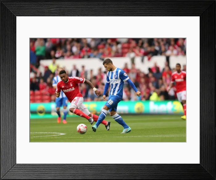 Framed Print : Brighton & Hove Albion vs. Nottingham Forest: 27 September 2014 (Away Game)