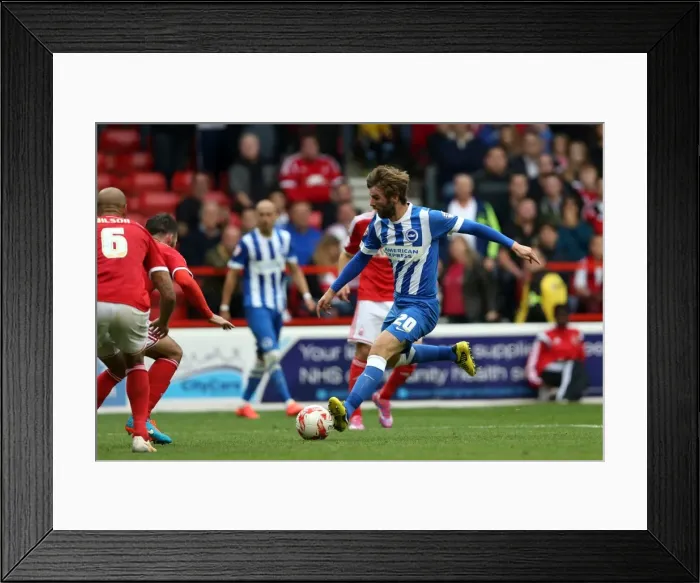 Framed Print : Brighton & Hove Albion vs. Nottingham Forest: 2014-15 Away Game Framed Print : Brighton & Hove Albion vs. Nottingham Forest: 2014-15 Away Game