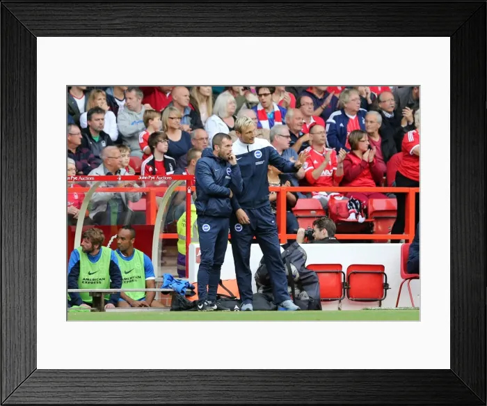 Framed Print : Brighton & Hove Albion vs. Nottingham Forest (Away), 27 September 2014 Framed Print : Brighton & Hove Albion vs. Nottingham Forest (Away), 27 September 2014