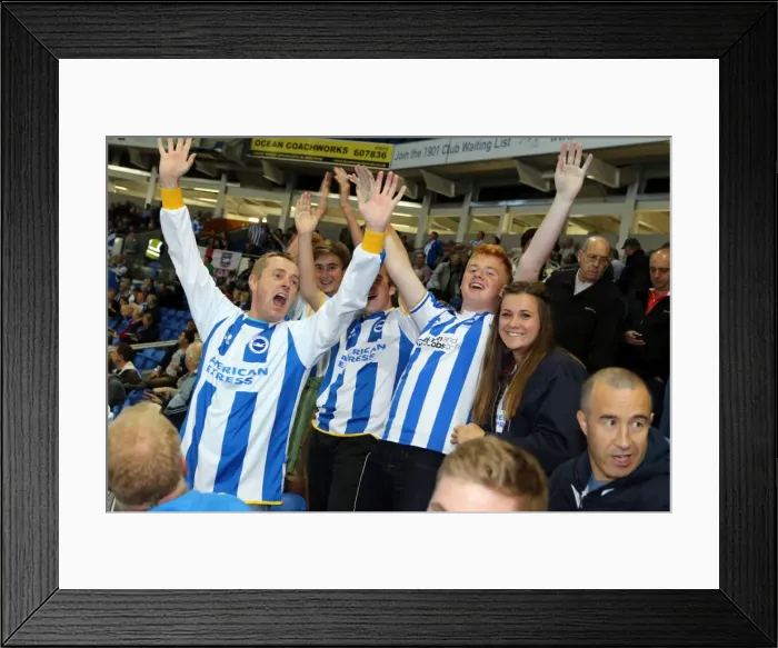 Framed Print : Brighton & Hove Albion vs. Cardiff City: 30SEP14 (Home Game) Framed Print : Brighton & Hove Albion vs. Cardiff City: 30SEP14 (Home Game)