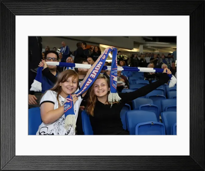 Framed Print : Brighton & Hove Albion vs. Cardiff City: 30SEP14 (Home Game) Framed Print : Brighton & Hove Albion vs. Cardiff City: 30SEP14 (Home Game)